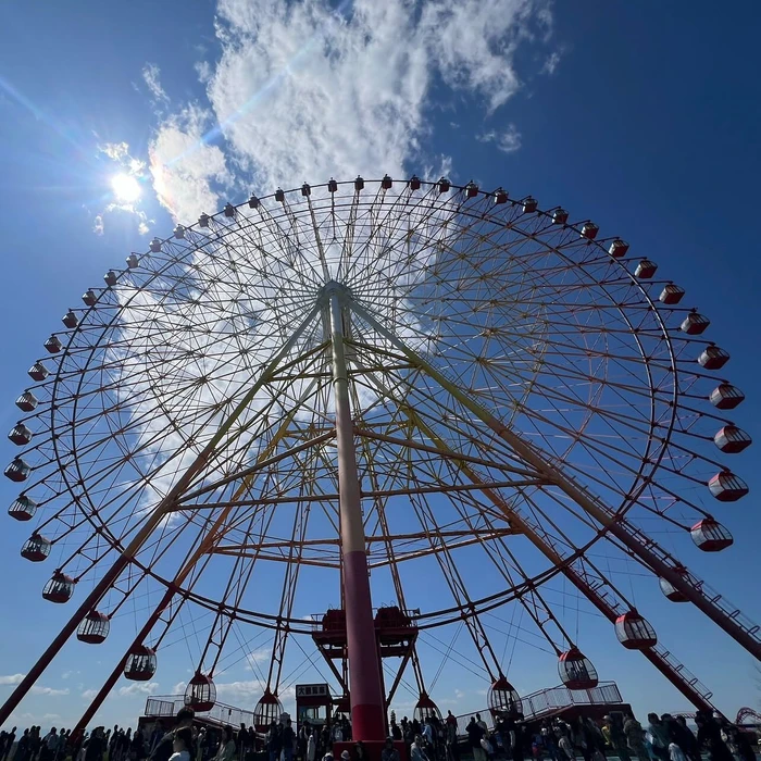 画像291