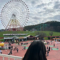 画像298